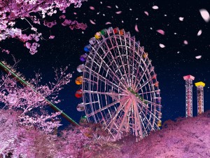 夜桜ジュエルミネーション